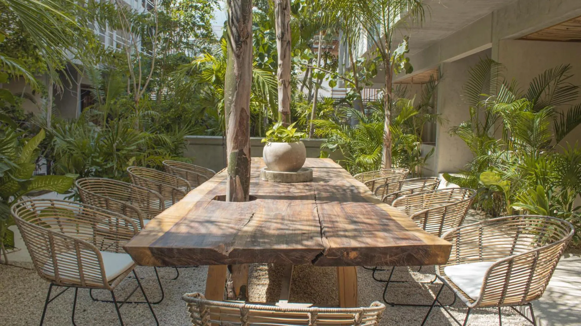 Jungle Chic Hotel Tulum
